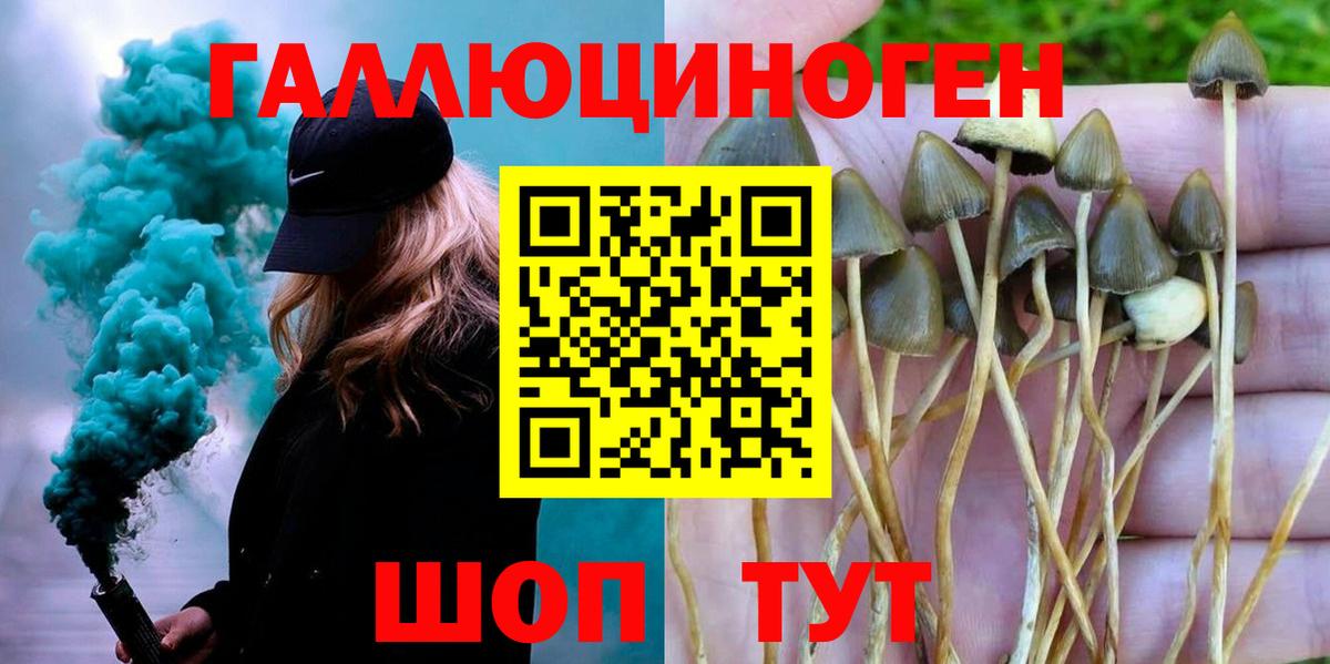 Знаменск  Галлюциногенные грибы мухоморы  Вход с VPN  Псилоцибиновые грибы Magic Shrooms 