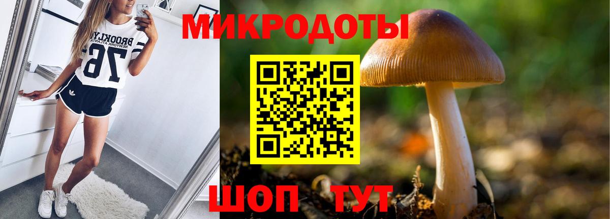 Псилоцибиновые грибы Cubensis Знаменск